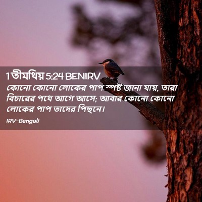 Picture 02 - 1 তীমথিয় 5:24 BENIRV - কোনো কোনো লোকের - Bible Verse Picture