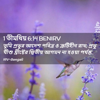 Picture 02 - 1 তীমথিয় 6:14 BENIRV - তুমি প্রভুর আদেশ - Bible Verse Picture