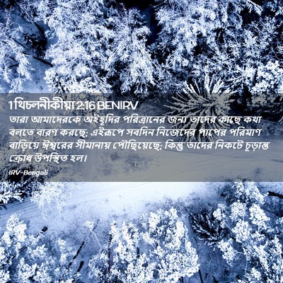Picture 02 - 1 থিচলনীকীয়া 2:16 BENIRV - তারা আমাদেরকে - Bible Verse Picture