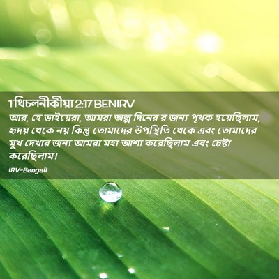 Picture 02 - 1 থিচলনীকীয়া 2:17 BENIRV - আর, হে ভাইয়েরা, - Bible Verse Picture