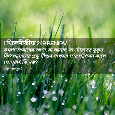 Picture 02 - 1 থিচলনীকীয়া 2:19 BENIRV - কারণ আমাদের আশা, বা - Bible Verse Picture