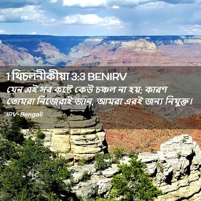 Picture 02 - 1 থিচলনীকীয়া 3:3 BENIRV - যেন এই সব কষ্টে কেউ - Bible Verse Picture