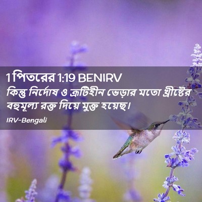 Picture 02 - 1 পিতরের 1:19 BENIRV - কিন্তু নির্দোষ ও - Bible Verse Picture