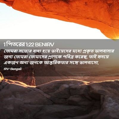 Picture 02 - 1 পিতরের 1:22 BENIRV - তোমরা সত্যের - Bible Verse Picture