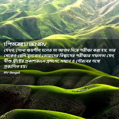 Picture 02 - 1 পিতরের 1:7 BENIRV - যেমন, সোনা - Bible Verse Picture