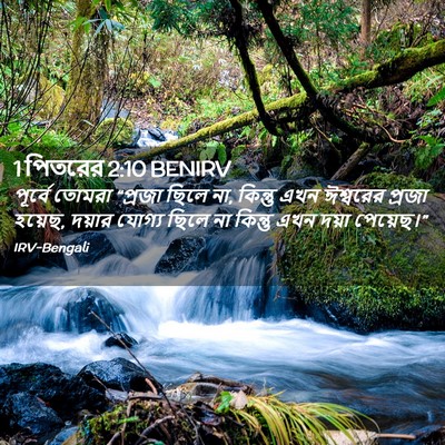 Picture 02 - 1 পিতরের 2:10 BENIRV - পূর্বে তোমরা - Bible Verse Picture