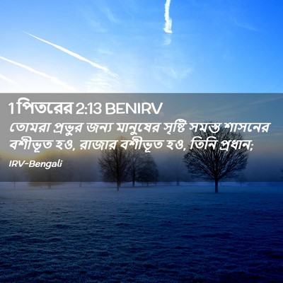 Picture 02 - 1 পিতরের 2:13 BENIRV - তোমরা প্রভুর জন্য - Bible Verse Picture