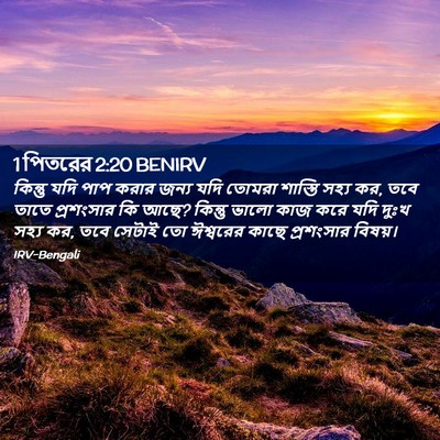 Picture 02 - 1 পিতরের 2:20 BENIRV - কিন্তু যদি পাপ - Bible Verse Picture