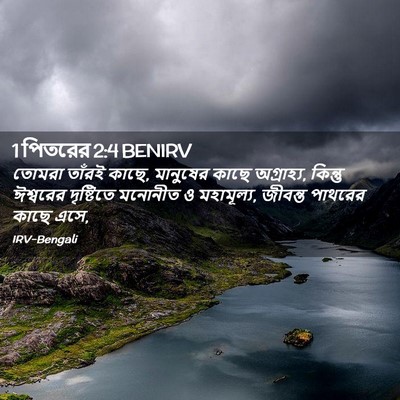 Picture 02 - 1 পিতরের 2:4 BENIRV - তোমরা তাঁরই কাছে, - Bible Verse Picture