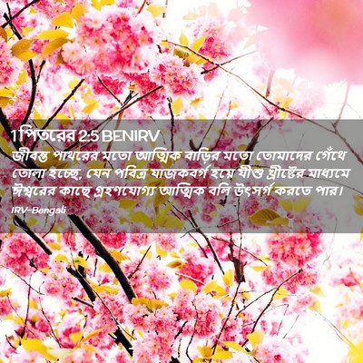 Picture 02 - 1 পিতরের 2:5 BENIRV - জীবন্ত পাথরের মতো - Bible Verse Picture