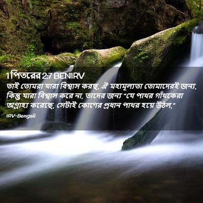 Picture 02 - 1 পিতরের 2:7 BENIRV - তাই তোমরা যারা - Bible Verse Picture