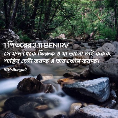 Picture 02 - 1 পিতরের 3:11 BENIRV - সে মন্দ থেকে ফিরুক - Bible Verse Picture