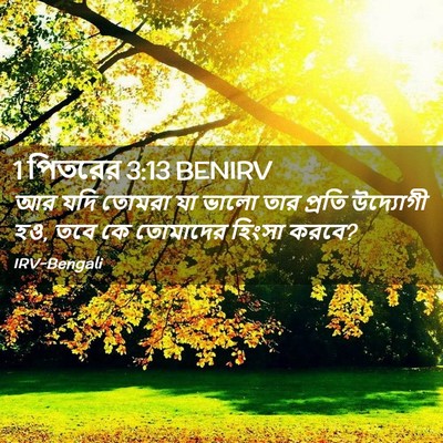 Picture 02 - 1 পিতরের 3:13 BENIRV - আর যদি তোমরা যা - Bible Verse Picture