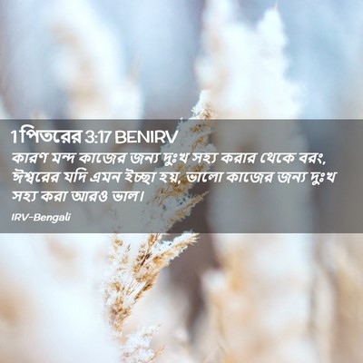 Picture 02 - 1 পিতরের 3:17 BENIRV - কারণ মন্দ কাজের - Bible Verse Picture