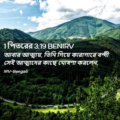 Picture 02 - 1 পিতরের 3:19 BENIRV - আবার আত্মায়, তিনি - Bible Verse Picture