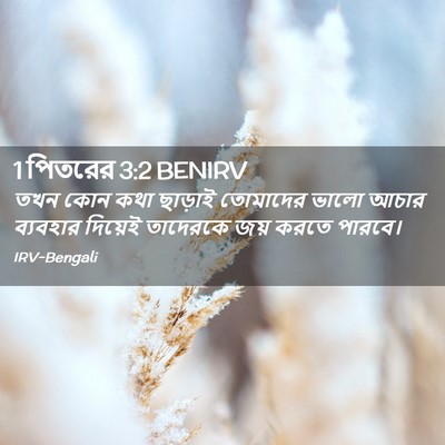 Picture 02 - 1 পিতরের 3:2 BENIRV - তখন কোন কথা ছাড়াই - Bible Verse Picture
