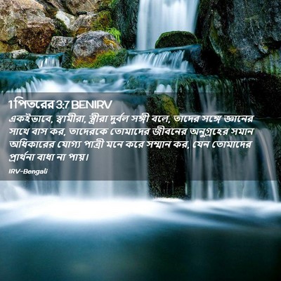 Picture 02 - 1 পিতরের 3:7 BENIRV - একইভাবে, স্বামীরা, - Bible Verse Picture