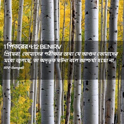 Picture 02 - 1 পিতরের 4:12 BENIRV - প্রিয়েরা, - Bible Verse Picture