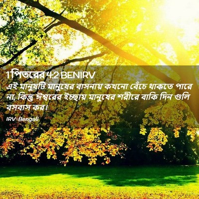 Picture 02 - 1 পিতরের 4:2 BENIRV - এই মানুষটি - Bible Verse Picture