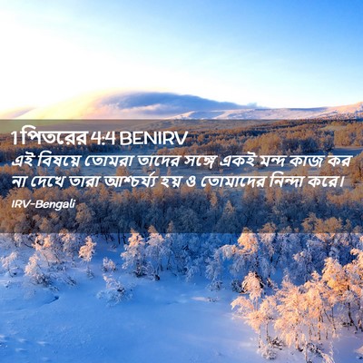 Picture 02 - 1 পিতরের 4:4 BENIRV - এই বিষয়ে তোমরা - Bible Verse Picture