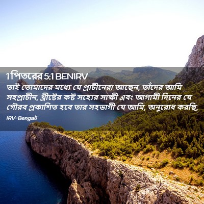Picture 02 - 1 পিতরের 5:1 BENIRV - তাই তোমাদের মধ্যে - Bible Verse Picture