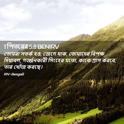 Picture 02 - 1 পিতরের 5:8 BENIRV - তোমরা সতর্ক হও, - Bible Verse Picture