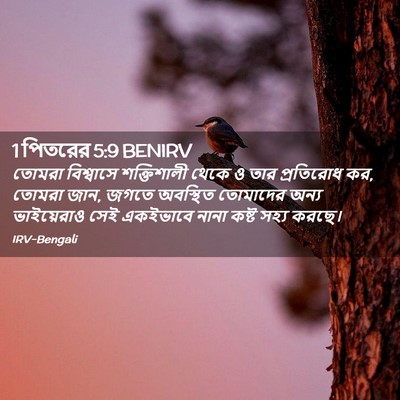Picture 02 - 1 পিতরের 5:9 BENIRV - তোমরা বিশ্বাসে - Bible Verse Picture