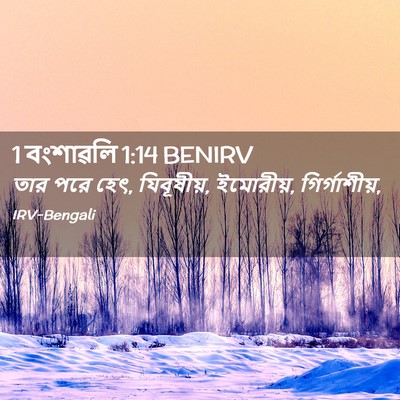 Picture 02 - 1 বংশাৱলি 1:14 BENIRV - তার পরে হেৎ, - Bible Verse Picture