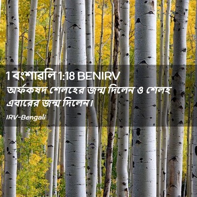Picture 02 - 1 বংশাৱলি 1:18 BENIRV - অর্ফকষদ শেলহের - Bible Verse Picture