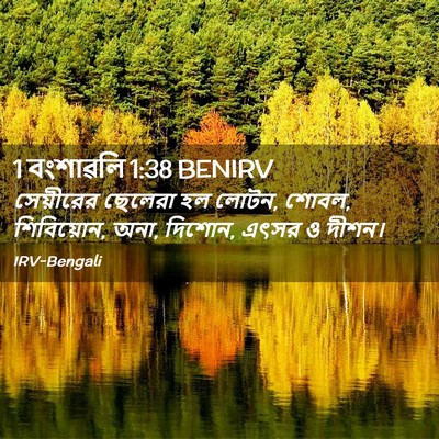 Picture 02 - 1 বংশাৱলি 1:38 BENIRV - সেয়ীরের ছেলেরা - Bible Verse Picture