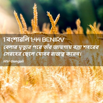 Picture 02 - 1 বংশাৱলি 1:44 BENIRV - বেলার মৃত্যুর পরে - Bible Verse Picture
