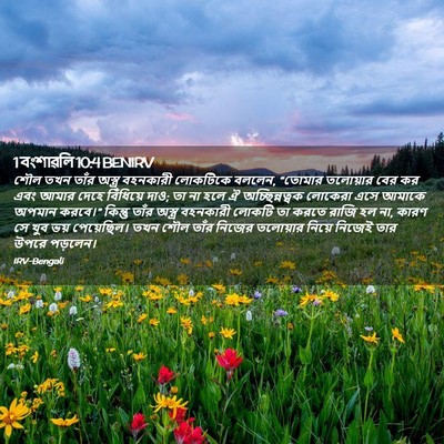 Picture 02 - 1 বংশাৱলি 10:4 BENIRV - শৌল তখন তাঁর - Bible Verse Picture