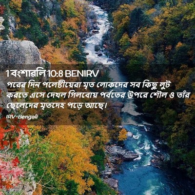Picture 02 - 1 বংশাৱলি 10:8 BENIRV - পরের দিন - Bible Verse Picture