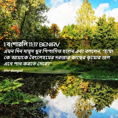 Picture 02 - 1 বংশাৱলি 11:17 BENIRV - এমন দিন দায়ূদ খুব - Bible Verse Picture