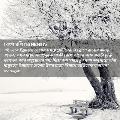 Picture 02 - 1 বংশাৱলি 11:3 BENIRV - এই ভাবে ইস্রায়েল - Bible Verse Picture