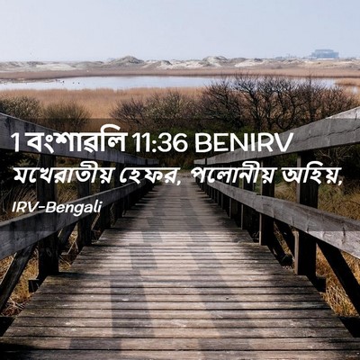 Picture 02 - 1 বংশাৱলি 11:36 BENIRV - মখেরাতীয় হেফর, - Bible Verse Picture