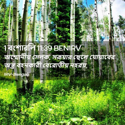 Picture 02 - 1 বংশাৱলি 11:39 BENIRV - অম্মোনীয় সেলক, - Bible Verse Picture