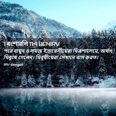 Picture 02 - 1 বংশাৱলি 11:4 BENIRV - পরে দায়ূদ ও সমস্ত - Bible Verse Picture