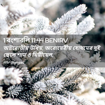 Picture 02 - 1 বংশাৱলি 11:44 BENIRV - অষ্টরোতীয় উষিয়, - Bible Verse Picture