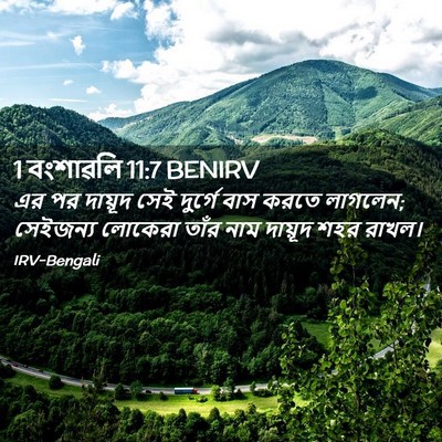 Picture 02 - 1 বংশাৱলি 11:7 BENIRV - এর পর দায়ূদ সেই - Bible Verse Picture