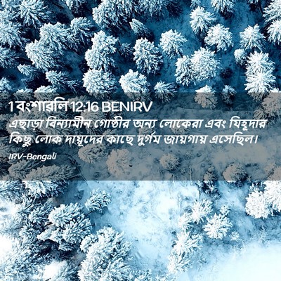 Picture 02 - 1 বংশাৱলি 12:16 BENIRV - এছাড়া বিন্যামীন - Bible Verse Picture