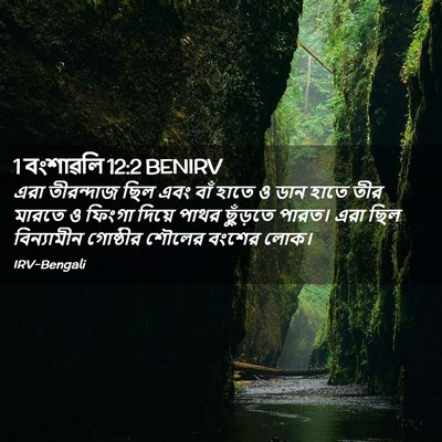 Picture 02 - 1 বংশাৱলি 12:2 BENIRV - এরা তীরন্দাজ ছিল - Bible Verse Picture