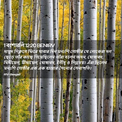 Picture 02 - 1 বংশাৱলি 12:20 BENIRV - দায়ূদ সিক্লগে - Bible Verse Picture