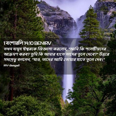 Picture 02 - 1 বংশাৱলি 14:10 BENIRV - তখন দায়ূদ - Bible Verse Picture