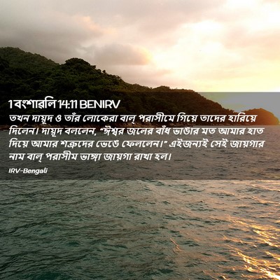 Picture 02 - 1 বংশাৱলি 14:11 BENIRV - তখন দায়ূদ ও তাঁর - Bible Verse Picture