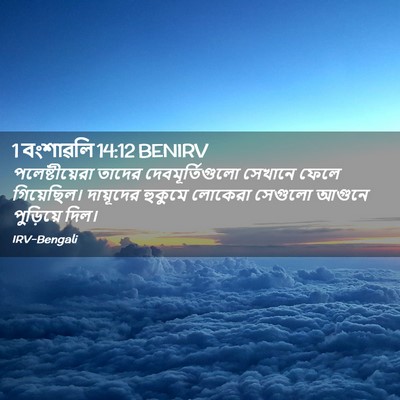 Picture 02 - 1 বংশাৱলি 14:12 BENIRV - পলেষ্টীয়েরা - Bible Verse Picture
