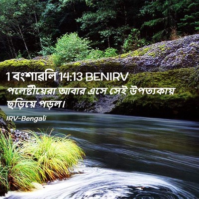 Picture 02 - 1 বংশাৱলি 14:13 BENIRV - পলেষ্টীয়েরা আবার - Bible Verse Picture