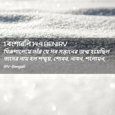 Picture 02 - 1 বংশাৱলি 14:4 BENIRV - যিরূশালেমে তাঁর - Bible Verse Picture