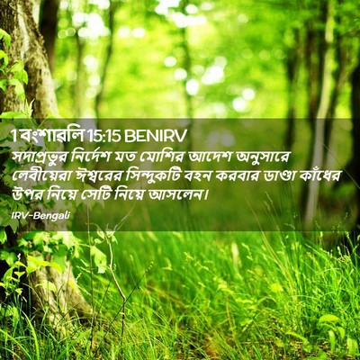Picture 02 - 1 বংশাৱলি 15:15 BENIRV - সদাপ্রভুর নির্দেশ - Bible Verse Picture