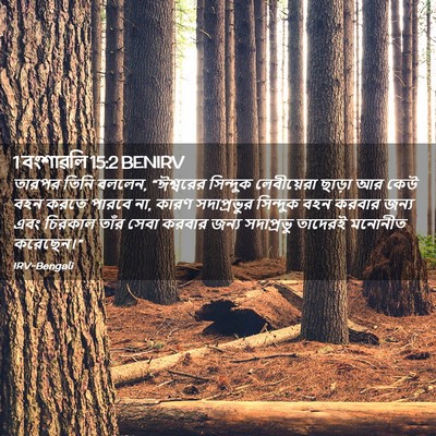 Picture 02 - 1 বংশাৱলি 15:2 BENIRV - তারপর তিনি বললেন, - Bible Verse Picture